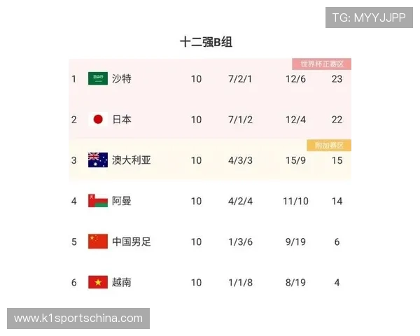 世界杯埃及伊朗比赛门票预订渠道及购票注意事项全面解析